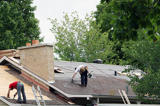 Best Roof Leak Repair  in Nelsonville, OH